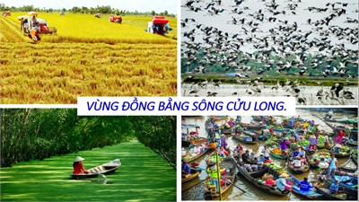 Ảnh đại diện